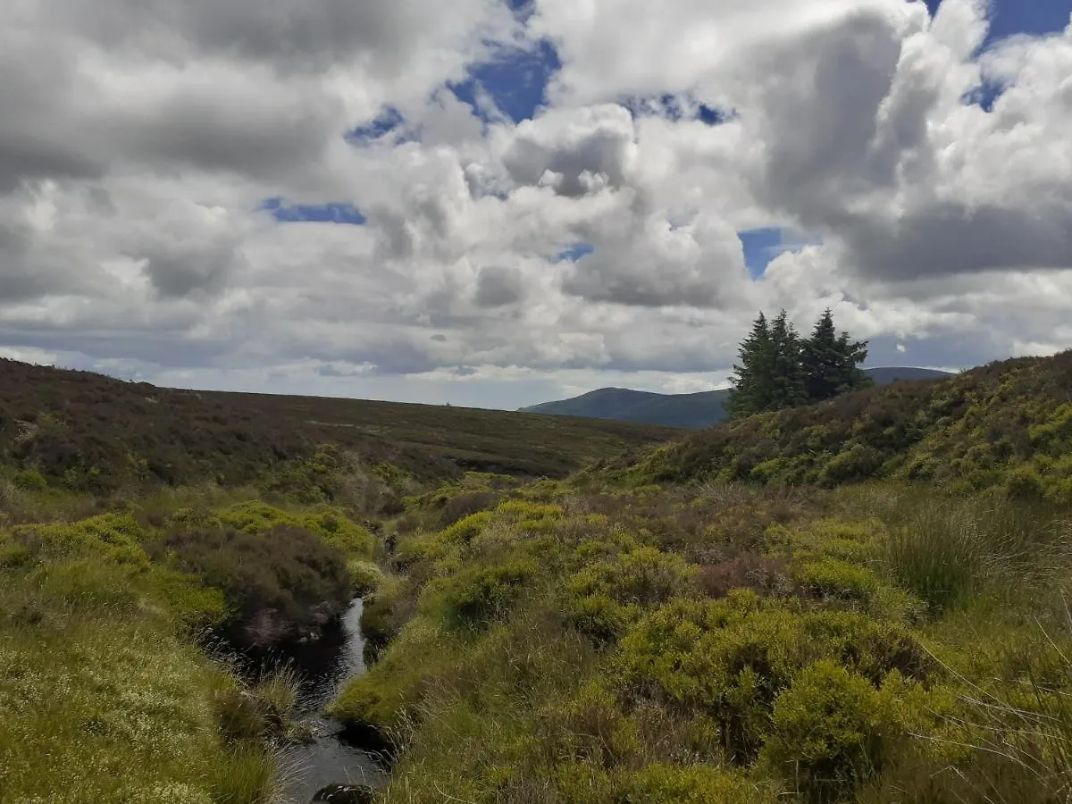 Homestay Ensuite At The Foot Of Dublin Mountains Ireland